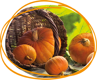 pumpkin