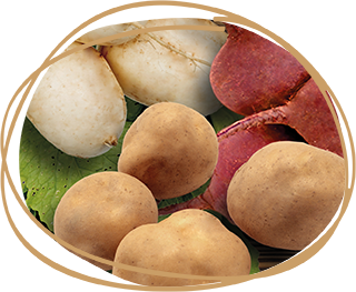 Potato, Beet & Turnip