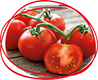Gazpacho