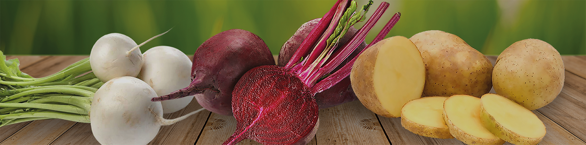 Potato, Beet & Turnip