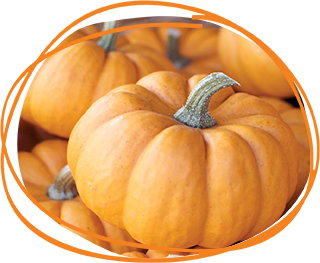 Pumpkin