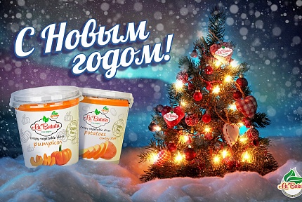 С Новым 2017 годом!